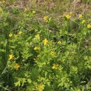 별하나풀빌라민박 이미지