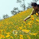 화양근린공원 이미지