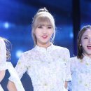 미미슈퍼 티스토리