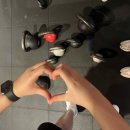 룰루 휘트니스 이미지