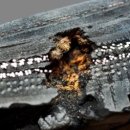 타이어프로 금오점 이미지