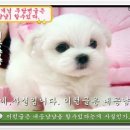 냠냠
