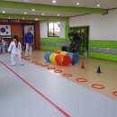 경희대 진명태권도 이미지