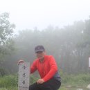 둘레길8구간 이미지