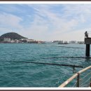 2012. 1. 28 Panstar Cruise 로 1박2일 승선유람 -1- 이미지