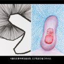 모다미술