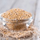 겨자씨이야기 이미지