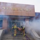 세종특별자치시세종소방서 뉴스충청인