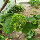 당감초등학교 병설유치원 이미지