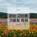 화순고인돌유적지(1쉼터공연장) | [전남 화순] 2025 화순 고인돌 가을꽃 축제 (주차정보, 내부 지도, 먹거리, 체험학습 등등)