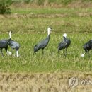 주남영농조합법인 이미지