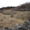 동광리-15 Daum카페