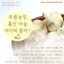 황산농장 이미지