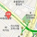 이영수마취통증의학과의원