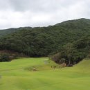 기장동원로얄골프장 이미지