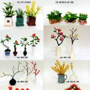 플로리스트(A) 이미지