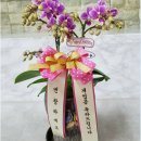 세신인창종합상가 이미지