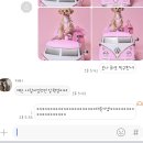 ✔️ 오뜨그라피 반려동물 스튜디오 바비컨셉 촬영후기 / 남양주 사진관/ 애견동반 스튜디오 / 강아지 모델
