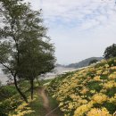 부안변산마실길 이미지