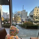 아이베스트어린이집 | 동탄 소아과 동탄베스트아이들 1인실 입원후기 (rsv 바이러스 입원)