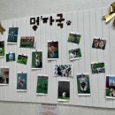 펫스탑 | 안양 애견운동장 도심속 독프탑 마이펫라이프 멍래블 예약