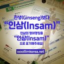 한국인삼약초