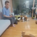 예가함바식당 - 하남시 | 예가함바식당