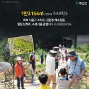 화순허브뜨락 Daum카페