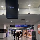 M&S 빌딩 | [이탈리아 교환학생] Ep.26 | 영국 런던🇬🇧 새해 불꽃놀이🎇 위키드 뮤지컬💚 노팅힐📚 시티 오브 런던...