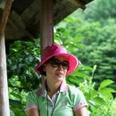 푸른농장B 이미지