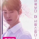 늘 사랑스럽개 이미지