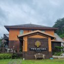 대관령로뎀나무 이미지