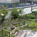 채원 태양광발전소 이미지