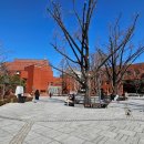 마로니에 공원부터 보성사 터까지, 3.1절맞이 나홀로 산책