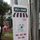 로이펫살롱 | 인천 용현동애견미용 인천 애견미용 용현동펫샵 ; 언니쓰펫살롱