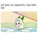 굿모닝홍콩 이미지