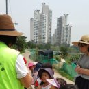 공동직장 푸른들어린이집 이미지