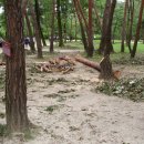 융릉ㆍ건릉 이미지