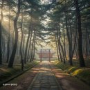 보물과역사,운명으로 | 조선의 슬픈 운명을 품은 곳, 철종여행 필수 코스