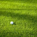 일산골프클럽 이미지