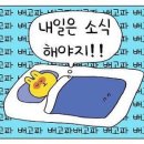 쉐프국밥 이미지