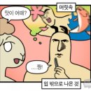 낭만의거리 이미지