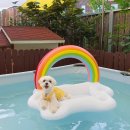 토리하우스 이미지