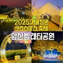 앞산강아지 | 대구 크리스마스 축제 2025 앞산빨래터공원 겨울정원 트리 포토존