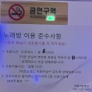 여행가방펜션 | 자연 속 이색 힐링 캐리어 가방 숙소 : 무주 여행가방 펜션