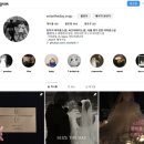 씨즈더데이 이미지