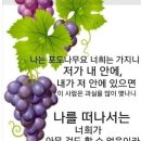 임마누엘 Daum카페