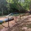 산삼자연휴양림(함양) | 2026 재개장, 반려견과 함께 머무는 함양 산삼자연휴양림 숲 여행