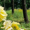 벌막공원 이미지