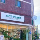악토플랜트